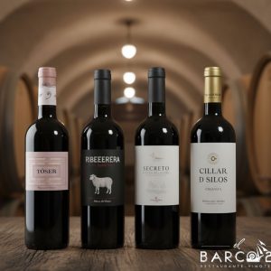 Pack Selección Ribera del Duero "El Barco 22"
