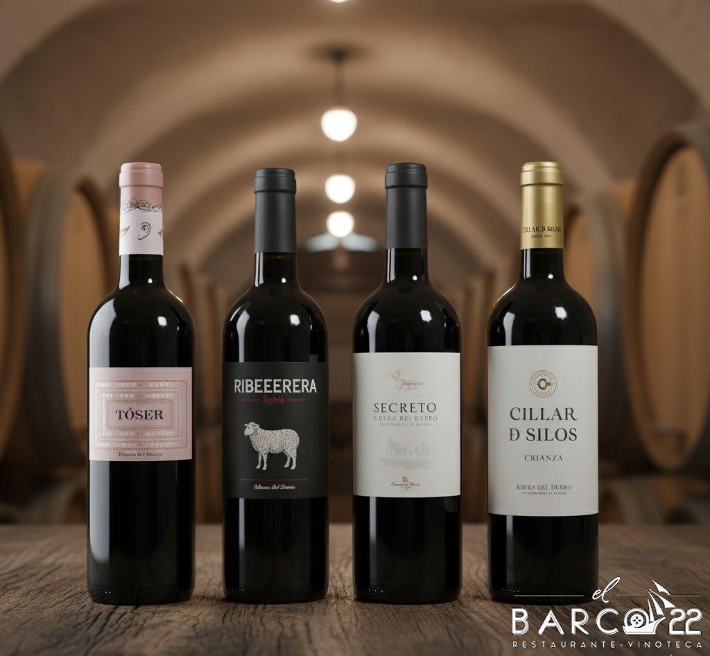 Pack Selección Ribera del Duero "El Barco 22"
